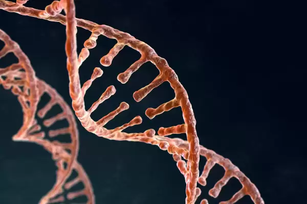 spiral-strand-of-dna-on-the-dark-background-2024-12-04-18-31-02-utc